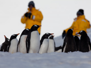 Majestuosos fiordes e icebergs