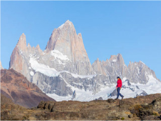 Day Tour and transfer from El Calafate to El Chalten with visit to Petrified Bosque la Leona