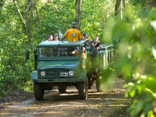 Privater Transfer vom Flughafen in Iguazu (ARG) zur Unterkunft in Iguazu (ARG)