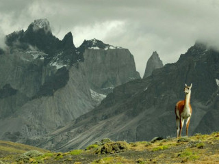 Torres del Paine
