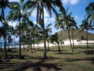 Les Moaïs - Volcan Ranu Raraku - Plage Anakena