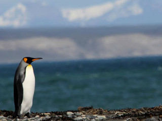 Ushuaia - Nationalpark Feuerland