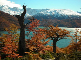 El Chalten - Fitz Roy