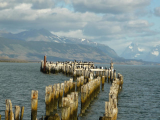 Private transfer from the bus terminal to the accommodation in Puerto Natales