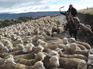 Voando de Coyhaique rumo a Punta Arenas - Patagônia Chilena