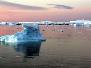 Croisière à travers l'Antarctique