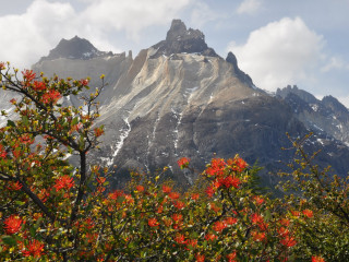 Puerto Natales - Torres del Paine Nationalpark