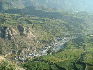 Colca Canyon