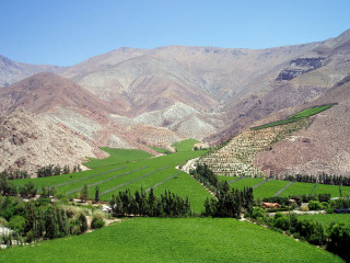 La Serena