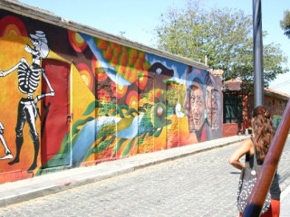 Excursão regular Valparaiso, Neruda e Visita ao Vinhedo orgânico (Inclui Entradas)
