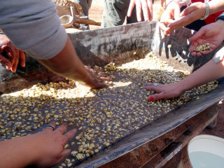 Visite d'une ferme agricole Atacamène