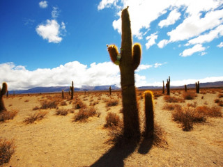 Cafayate - Cachi : journée libre avec la voiture de location