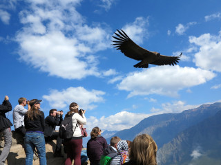 Condors Viewpoint: Visiting the deepest canyon in the world!