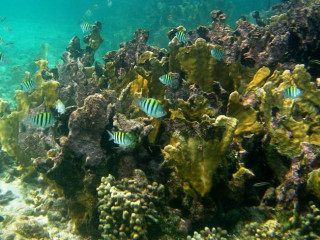 Viagem pelas Ilhas de Rosário - A maravilha do Caribe Colombiano