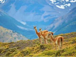 Flug nach El Calafate: Stadt der Gletscher