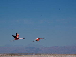 San Pedro do Atacama