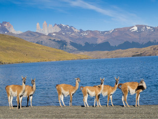 Atravessando o Estreito de Magalhães - Chegando a Punta Arenas