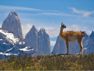 Private transfer from accommodation to bus terminal in Puerto Natales