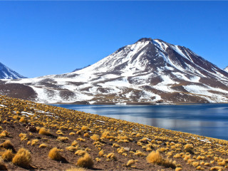 Excursion aux Lagunes altiplaniques et au Salar d'Atacama