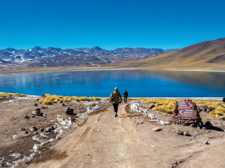 Exkursion in einer internationalen Gruppe (mit englischsprachigem Guide) zum Salar de Aguas Calientes (Sector Piedras Rojas) und zu den Hochlandlagunen