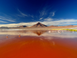 Süd-Lípez-REA (Laguna Colorado, Geysire, Dalí-Wüste, Grüne Lagune,…) / Uyuni (Flug) / La Paz