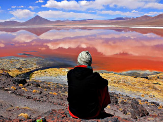 Laguna Colorado - Flamingos - Siloli Wüste