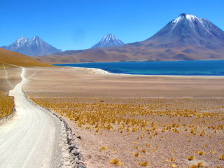 SAN PEDRO D'ATACAMA : excursion FD Salar d'Atacama et lagunes altiplaniques