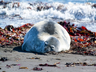 Chegada em Punta Arenas