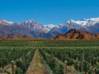 Buenos Aires - Mendoza