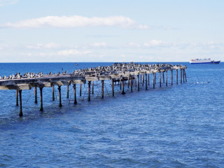 Punta Arenas Flughafen