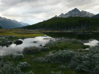 Ushuaia - Nationalpark Feuerland