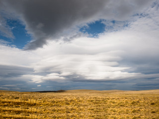 Linienbus Puerto Natales - Punta Arenas