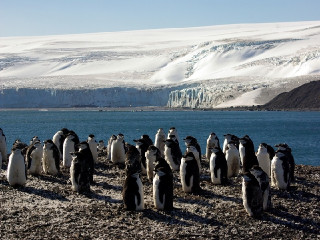 Paisagens únicas da Antartica