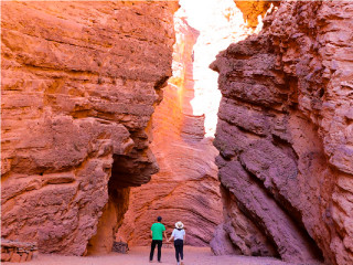 Excursão regular Cafayate - Visita bodega & degustação - Quebrada de las Conchas - Salta