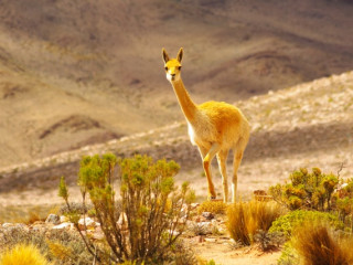 Purmamarca - Salta : journée libre avec la voiture de location